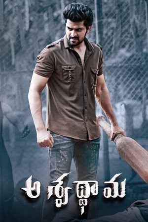 Aswathama 2020 (Hindi – Telugu) Dual Audio 480p UnCut HDRip 340MB