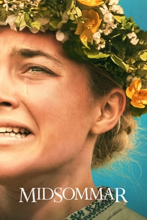 Midsommar (2019) Hindi Dual Audio 720p BluRay [1.4GB]