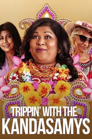 Trippin with the Kandasamys 2021 Hindi Dual Audio 720p Web-DL [850MB]